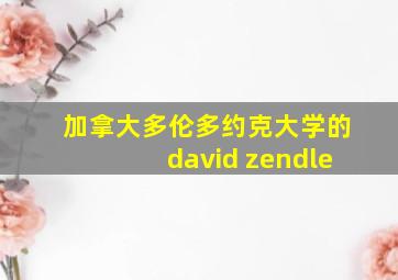 加拿大多伦多约克大学的david zendle